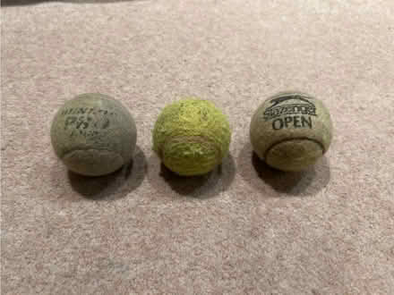 Photo of free Tennis balls for dogs (Harrogate HG2) #1