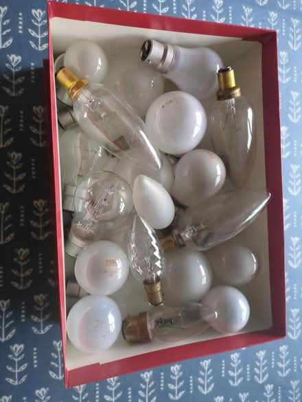 Photo of free Light bulbs (Hertford SG14, Bengeo.) #1