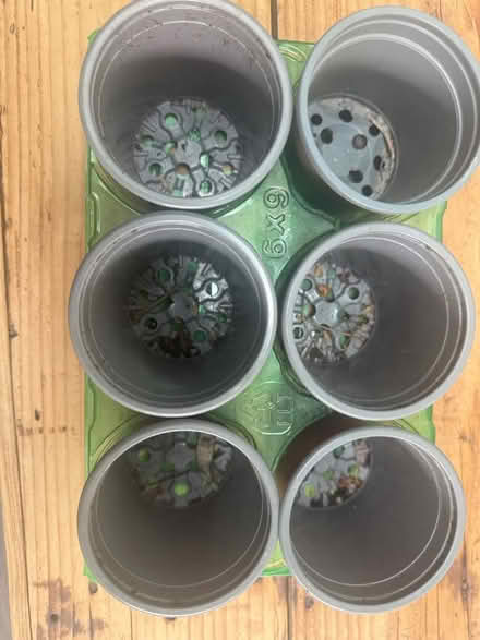 Photo of free Planting pots for spring (Elephant and Castle) #2