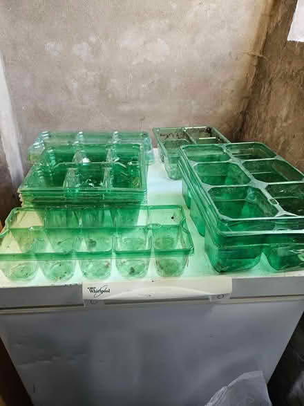 Photo of free Seed/small plant trays (Colinton EH13) #1