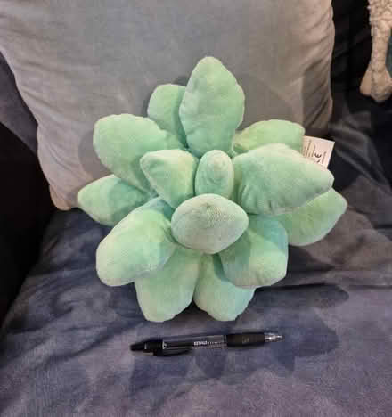 Photo of free Plant-Themed Throw Pillow (Meadowbrook) #1