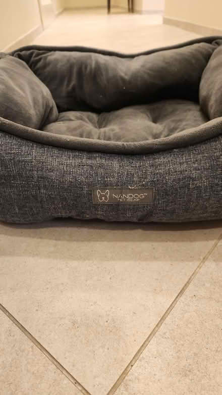 Photo of free Small dog bed (Stoneham) #1