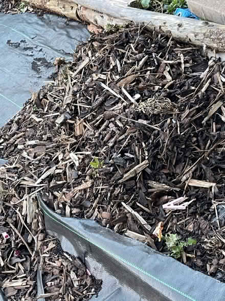 Photo of free Bags of Bark (Tallaght) #1