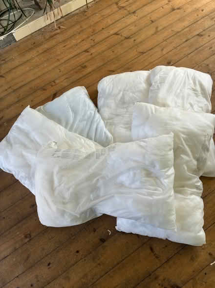 Photo of free Pillows (Banstead SM7) #1