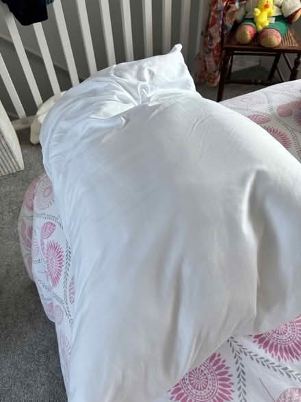 Photo of free Clean pillow (Stroud) #1