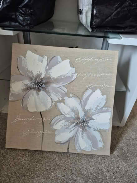 Photo of free Flower canvas (Maidstone ME15) #1