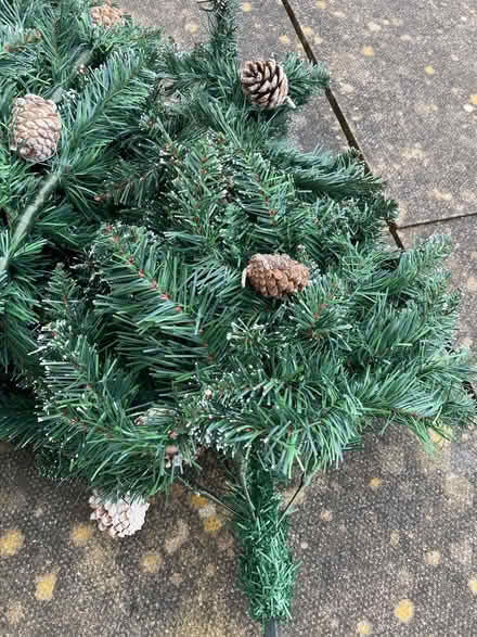 Photo of free 6ft Christmas tree (Whitefield M45) #1