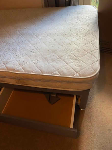 Photo of free Single bed with mattress (S8 woodseats) #1