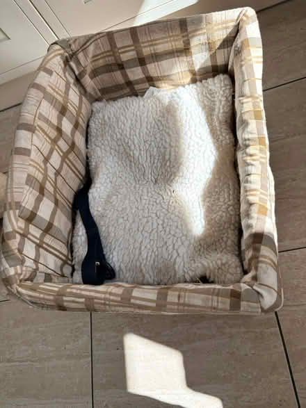 Photo of free Dog Booster Seat (Little Chalfont HP6) #3