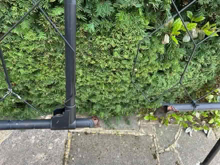 Photo of free Solid black metal trellis (KT17 3BH) #2