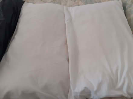Photo of free Pillows (Southport PR8) #1
