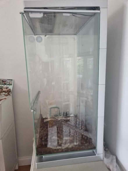 Photo of free Vivarium (The Nurserylands TW12) #3