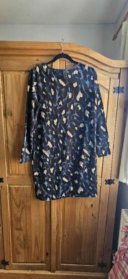 Photo of free Leopard print dress (Hope-under-Dinmore HR6) #2