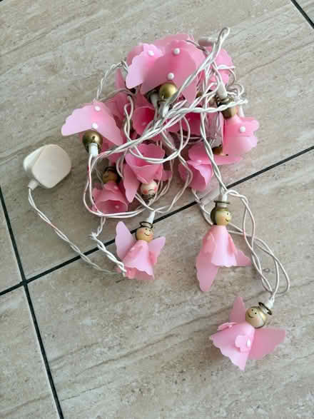 Photo of free Fairy lights (Little Chalfont HP6) #1