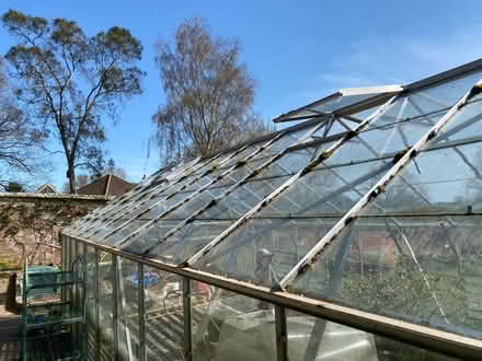 Photo of free Greenhouse 20ft x 10ft (Newtown, Witchampton) #3