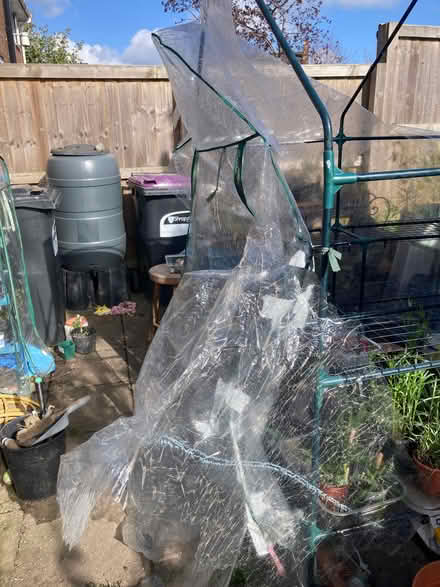 Photo of free Greenhouse cover plastic sheeting (Ifton Heath SY11) #2