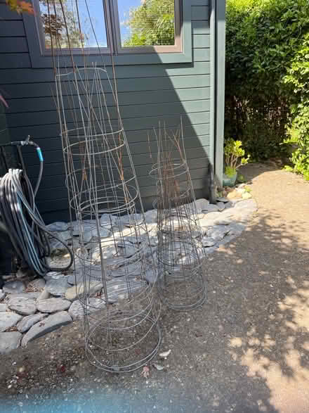 Photo of free Vegetable “cages” (Mill Valley) #1