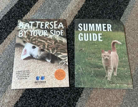 Photo of free Battersea Cat care guide (Jennetts park RG12) #1