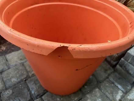 Photo of free Giant Plastic Plant Pots. (Roehampton SW15) #3