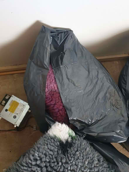 Photo of free Bag of Used Dog Fleeces (Trowbridge BA14) #2
