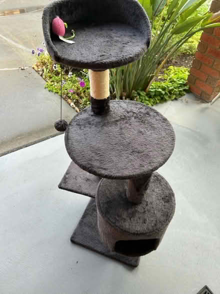 Photo of free Cat Tree (Chelsea Heights) #1