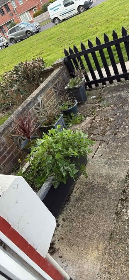 Photo of free Garden bits (Gosport PO13) #2