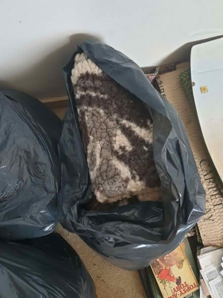 Photo of free Bag of Used Dog Fleeces (Trowbridge BA14) #3