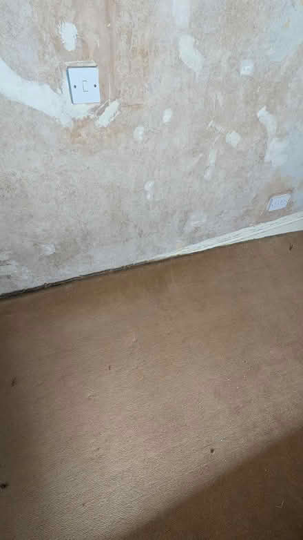 Photo of free Carpets - various colours and sizes (Chinley SK23) #3
