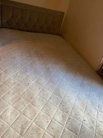 Photo of free Single bed with mattress (S8 woodseats) #3