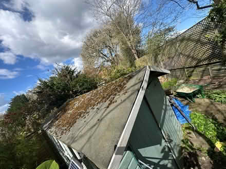 Photo of free Shed 7x10 ft (Loughton IG10) #2