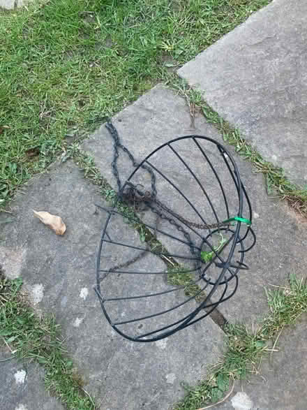 Photo of free Hanging basket (North walbottle NE5) #1