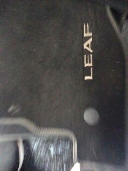 Photo of free Nissan leaf car mats (Wellington) #2