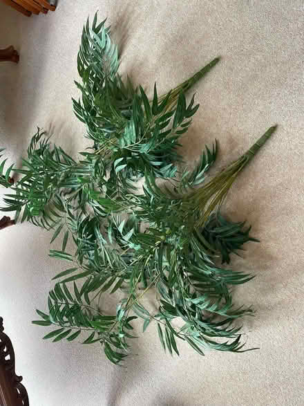 Photo of free Matching Pair (2) Faux (Silk) Palms (Surbiton KT6) #2