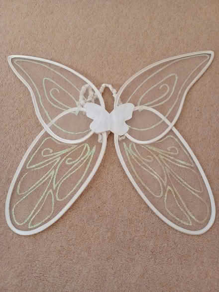 Photo of free Fairy wings (Sale M33) #1