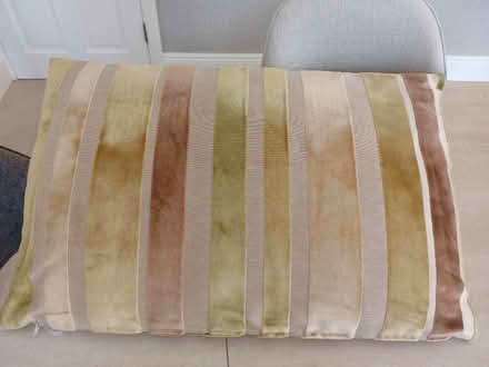 Photo of free Velour cushions (Loughton IG10) #1