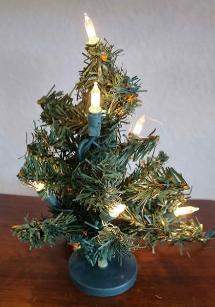 Photo of free Tiny (8") lit Christmas tree ((south) Central Park - Denver) #1