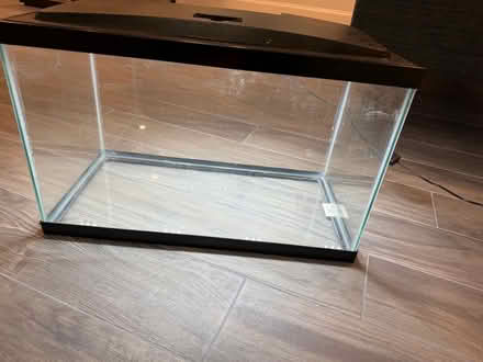 Photo of free Fish/reptile tank (Coolidge Corner, Brookline) #1