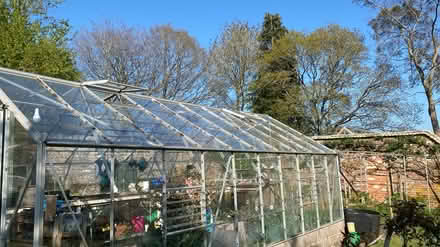 Photo of free Greenhouse 20ft x 10ft (Newtown, Witchampton) #4