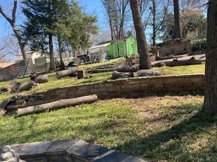 Photo of free Wood for fire wood (By Westlyan college.) #1