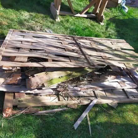 Photo of free Broken fence panels (Gobowen SY11) #1