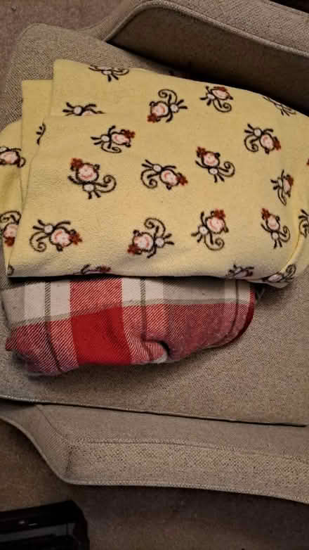 Photo of free 2 X throws RG26 (Bramley, Hants RG26) #1