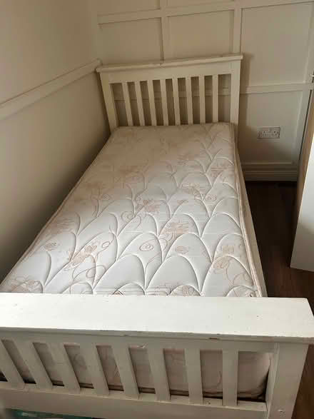 Photo of free Single bed (Togher) #1