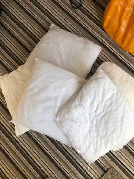 Photo of free cushion inserts x 5 (Hempstead) #1