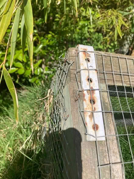 Photo of free Guinea pig/small rabbit run (Worcester Park KT4) #4