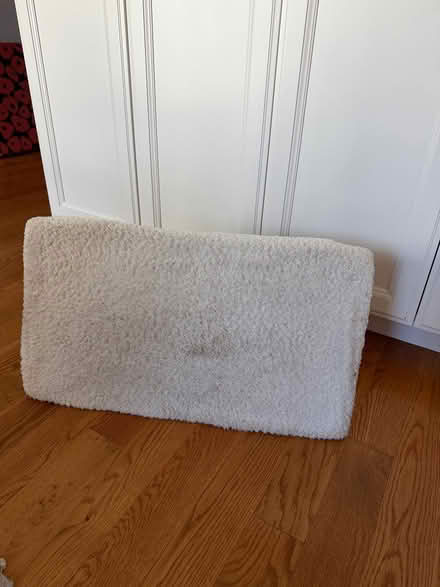 Photo of free Cat window perch (Coolidge Corner, Brookline) #2