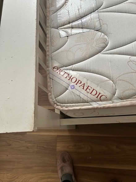 Photo of free Single bed (Togher) #2