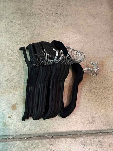 Photo of free Velvet Hangers (Mission Blvd and Whipple) #1