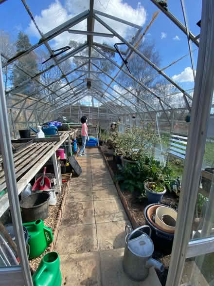 Photo of free Greenhouse 20ft x 10ft (Newtown, Witchampton) #1