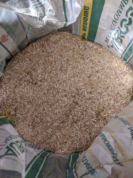 Photo of free Aubiose (Springfield SY2) #3