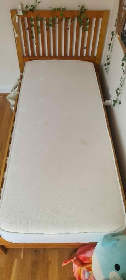 Photo of free Single bed mattress 200x80x15 (Lakenham NR1) #2